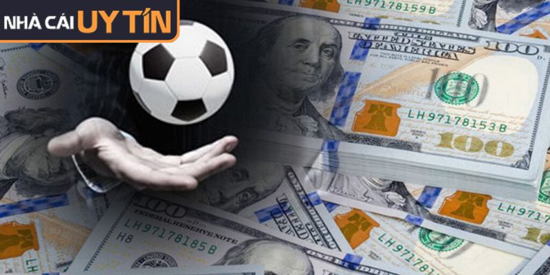 Chiến thuật cá cược dài hạn là gấp tiền khi vừa thua