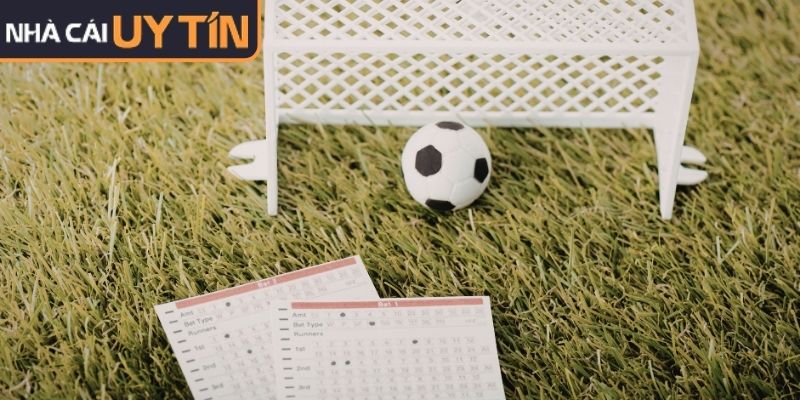 Hệ thống bảng tỷ lệ gợi ý chuyên sâu